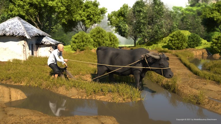 Vietnam Serie. Asiat plügt ein Feld mit Kuh.