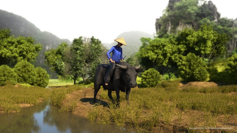 Vietnam Serie. Asiat reitet auf Kuh.