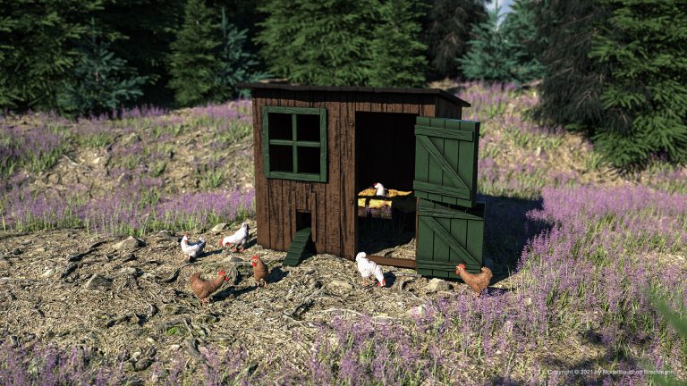 Hühner mit Stall