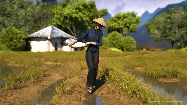 Vietnam Serie. Frau mit Reisschale.